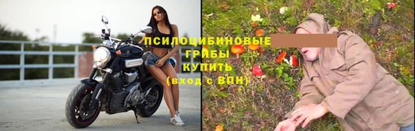 гидропоника Краснослободск