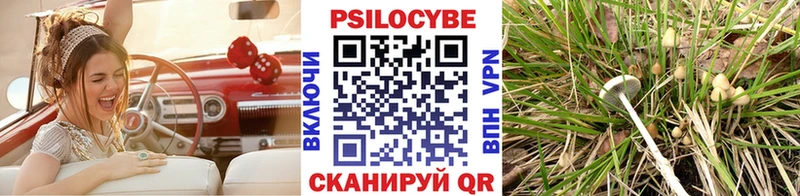 Псилоцибиновые грибы Psilocybe  Называевск 